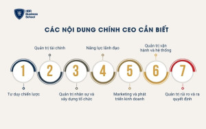 Các nội dung chính CEO cần biết