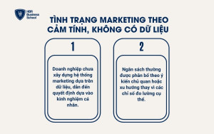 Quyết định Marketing dựa trên cảm tính thay vì dữ liệu