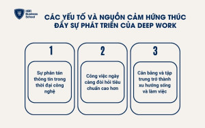 Các yếu tố và nguồn cảm hứng thúc đẩy sự phát triển của Deep work