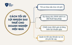 Cách tối ưu lợi nhuận sau thuế cho doanh nghiệp hiệu quả
