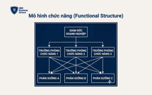 Mô hình chức năng (Functional Structure)