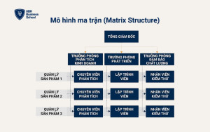 Mô hình ma trận (Matrix Structure)