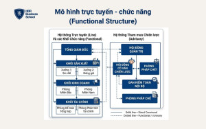 Mô hình trực tuyến - chức năng (Functional Structure)