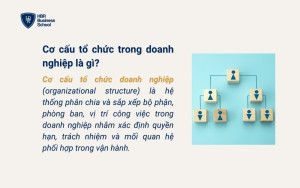 Tìm hiểu cơ cấu tổ chức doanh nghiệp là gì?