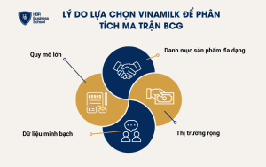 Lý do lựa chọn Vinamilk để phân tích ma trận BCG