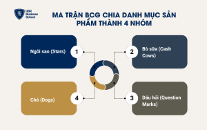 Ma trận BCG chia danh mục sản phẩm thành 4 nhóm chính
