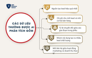 Các dữ liệu thường được AI phân tích gồm