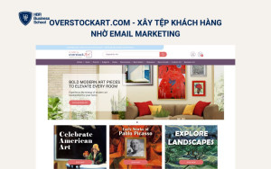 OverstockArt.com - Xây tệp khách hàng nhờ email marketing