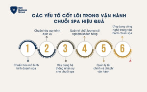 Các yếu tố cốt lõi trong vận hành chuỗi spa hiệu quả