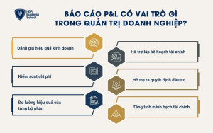 Báo cáo P&L có vai trò gì trong quản trị doanh nghiệp?