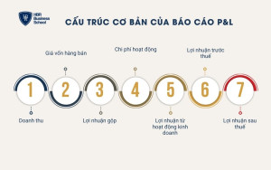 Cấu trúc cơ bản của báo cáo P&L