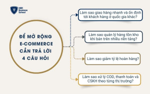 4 câu hỏi cần trả lời khi mở rộng e-commerce