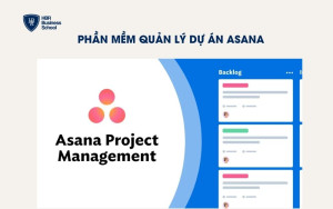 Phần mềm quản lý dự án Asana