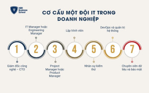 Cơ cấu một đội IT trong doanh nghiệp