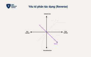 Yếu tố phản tác dụng (Reverse)
