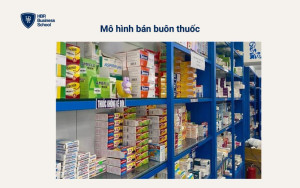 Mô hình bán buôn thuốc