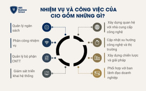 Nhiệm vụ và công việc của CIO gồm những gì?