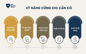 Kỹ năng cứng của CIO