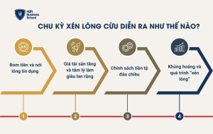 Chu kỳ xén lông cừu diễn ra như thế nào?