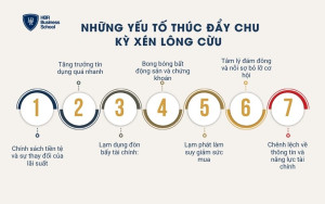 Những yếu tố thúc đẩy chu kỳ xén lông cừu
