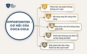 Opportunities – Cơ hội của Coca-Cola