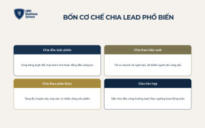 Cơ chế chia và luân chuyển lead cho đội ngũ sale bất động sản
