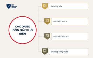 Các dạng đòn bẩy tài chính phổ biến