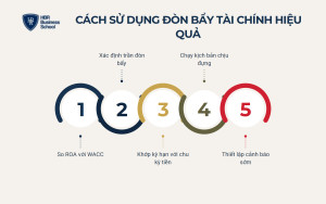 Cách sử dụng đòn bẩy tài chính hiệu quả cho doanh nghiệp