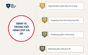Định vị thị trường trong mô hình STP và Marketing Mix 4P