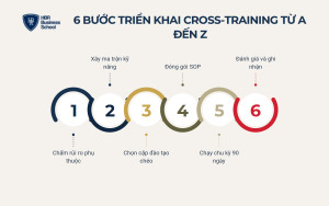 6 bước triển khai cross-training từ A đến Z