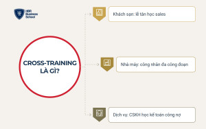 Tìm hiểu định nghĩa cross-training là gì?
