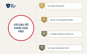 Cơ cấu tổ chức của FED gồm những bộ phận nào