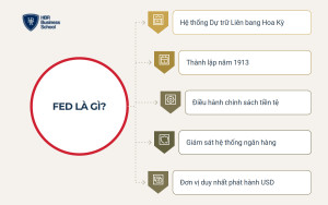 Tìm hiểu định nghĩa FED là gì
