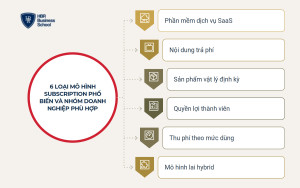 6 loại mô hình subscription phổ biến và nhóm doanh nghiệp phù hợp