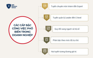 Các cấp bậc công việc phổ biến trong doanh nghiệp từ Intern đến C-level
