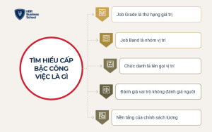 Tìm hiểu cấp bậc công việc là gì
