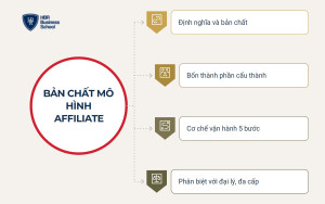 Mô hình affiliate là gì và vận hành theo cơ chế nào?