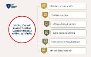 Sáu nhóm vai trò bắt buộc có khi xây dựng đội ngũ thương mại điện tử