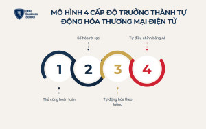 Mô hình 4 cấp độ trưởng thành tự động hóa thương mại điện tử