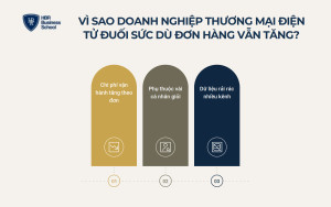 Vì sao doanh nghiệp thương mại điện tử ngày càng đuối sức dù đơn hàng vẫn tăng?
