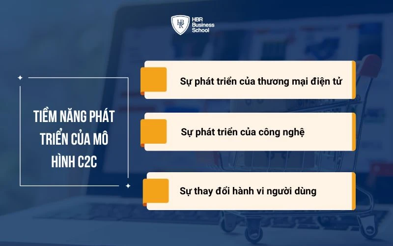 TÌM HIỂU MÔ HÌNH C2C - CASE STUDY ĐIỂN HÌNH